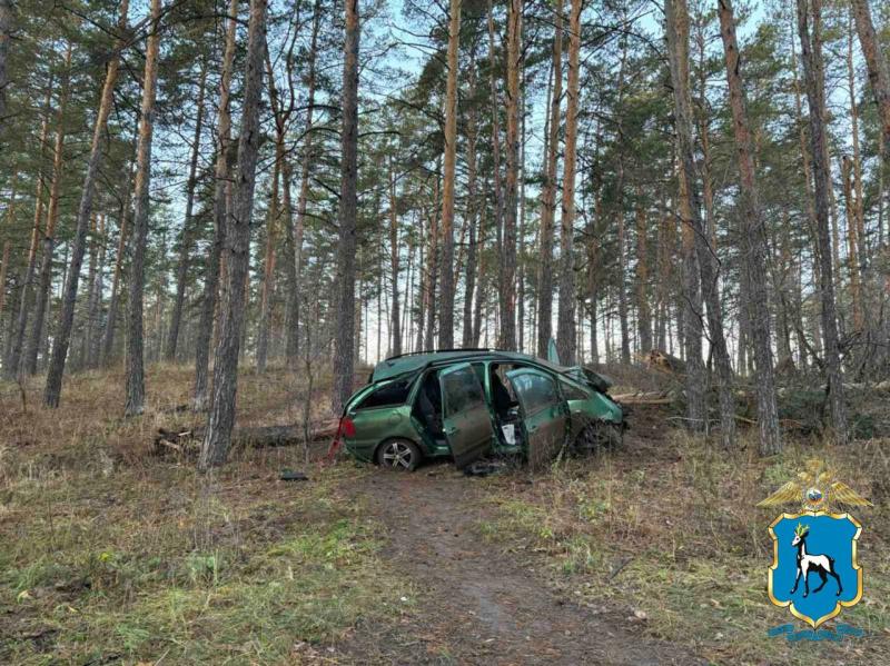 В Тольятти 20 ноября женщина погибла при столкновении иномарки с деревом