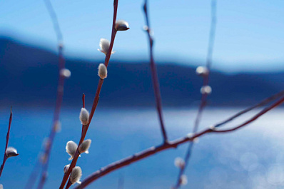 Народные приметы на 13 апреля 2025 года: что нельзя делать в этот день