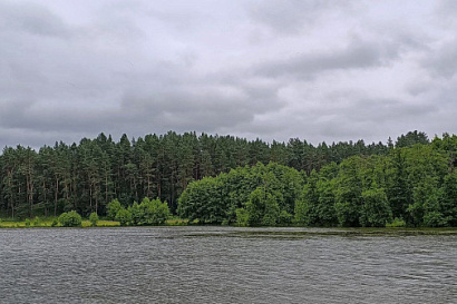 Название статьи