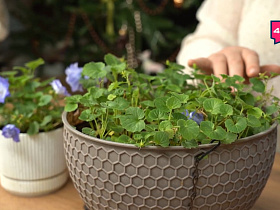 Название статьи