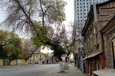 В Самаре здание музыкальной школы на Чапаевской возьмут под охрану