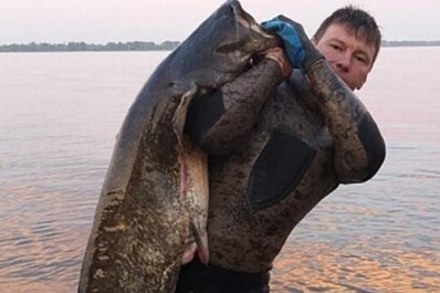 Под Тольятти рыбак поймал крупного речного монстра