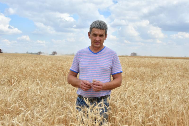 В Самарской области повысить урожайность помогают современные технологии