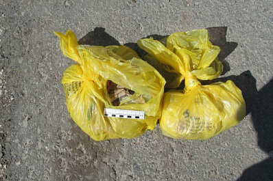 В Самарской области по вине водителя-наркосбытчика погиб 21-летний парень