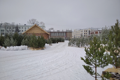 В Правительстве региона оценили готовность экстренных и коммунальных служб к работе в дни новогодних праздников