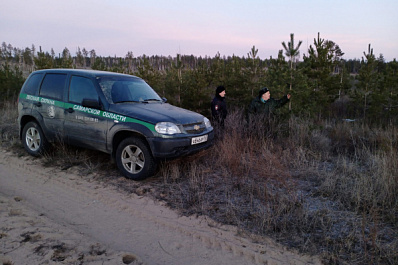 В Самарской области на постах ГИБДД проверяют машины с ёлками