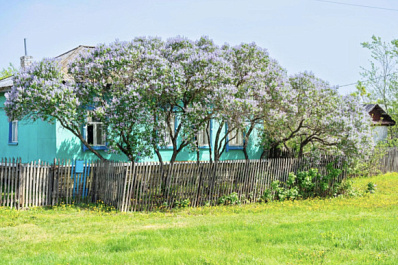 Россиянам разрешат тратить маткапитал на строительство жилых домов