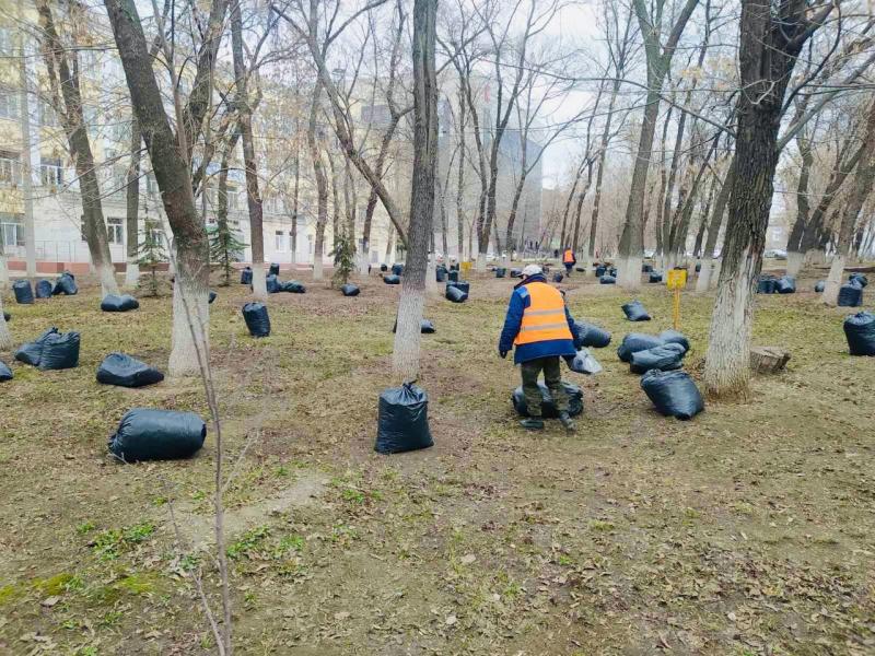 Убирался весь город: в Самаре прошел первый субботник