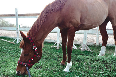 Народные приметы на 25 марта 2025 года: что нельзя делать в этот день