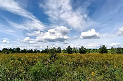 Название статьи