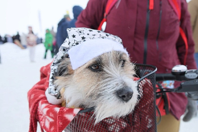 В Тольятти насыщенно и ярко прошел "ВьюгаФест"