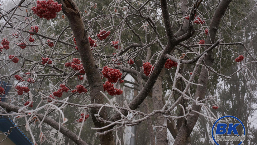 27 ноября в истории и архиве "ВК"