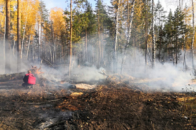 Природный пожар под Самарой ликвидируют более 100 человек
