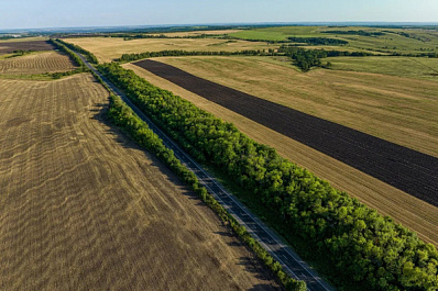 В Самарской области завершили укладку асфальта на объектах нацпроекта "Безопасные качественные дороги"