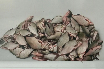 Самарский рыбак поймал 25 килограммов подлещика на поплавок