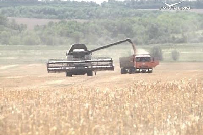 Самарские аграрии отметили свой профессиональный праздник