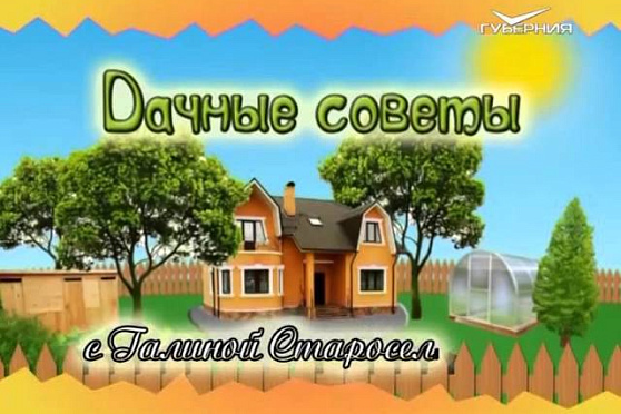 Дачные советы 17.09.2015 