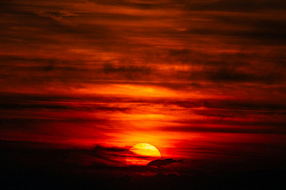 Название статьи