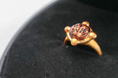 Дмитрий Азаров передал Золтану Немету копию мадьярского перстня, найденного в Самарской области