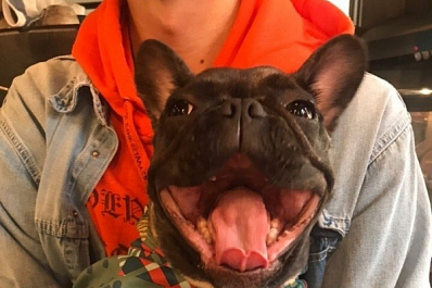 В Самаре водитель 51 автобуса спас собаку от верной гибели