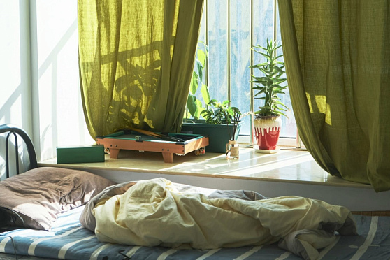 День заглядывания в окна. Такое утро