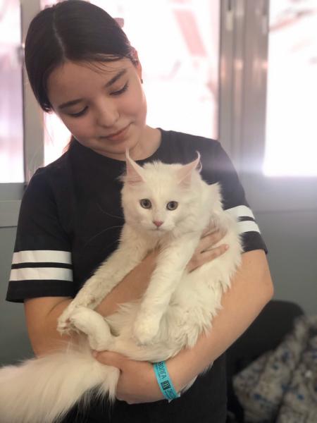 В Самаре прошла крупная выставка животных