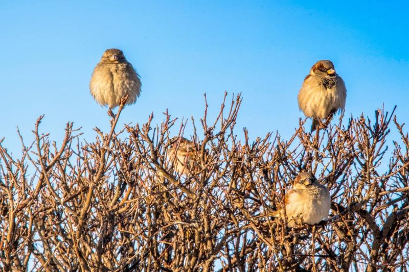 Народные приметы на 6 марта 2025 года: что нельзя делать в этот день