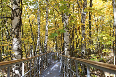 В Жигулевском заповеднике экотропу на гору Стрельную продлили на полкилометра