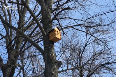 Самарские школьники подарили Загородному парку скворечники 