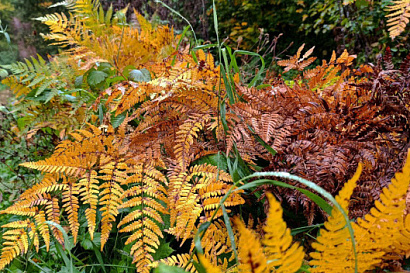 Название статьи
