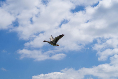 Народные приметы на 28 сентября 2024 года: что нельзя делать в этот день