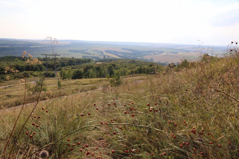 Состоялся 11-й пресс-тур в рамках областного проекта "Поехали!"