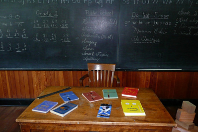 В Самаре тараканы "захватили" престижную школу