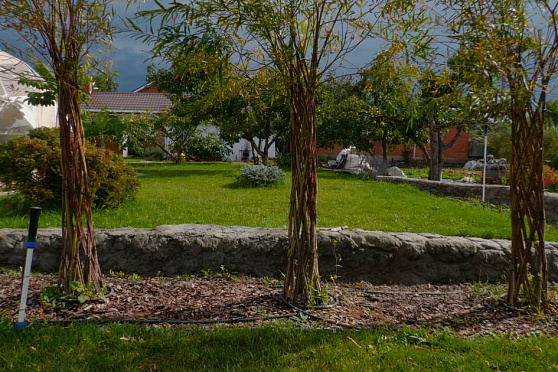 Плетеные ивовые деревья. Удачные заметки