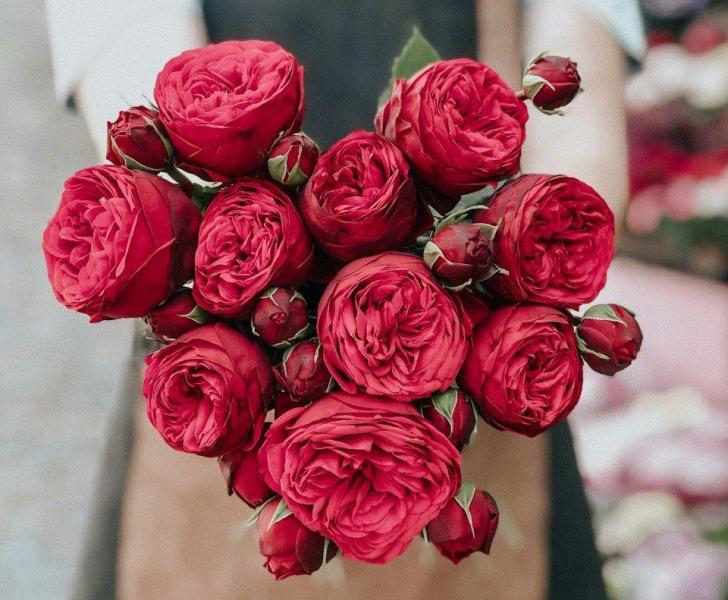 Стали известны 4 популярные схемы мошенников на День всех влюбленных