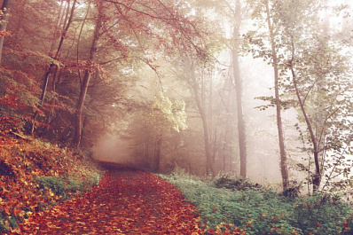 Синоптики рассказали о погоде в Самарской области на выходных