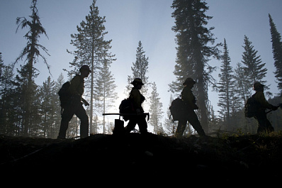  Леса Самарской области патрулируют 300 человек