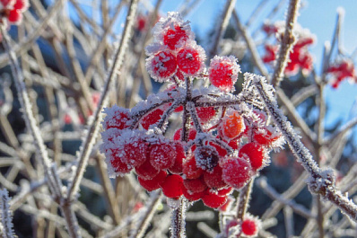 Самарскую область накроют мокрый снег и дожди