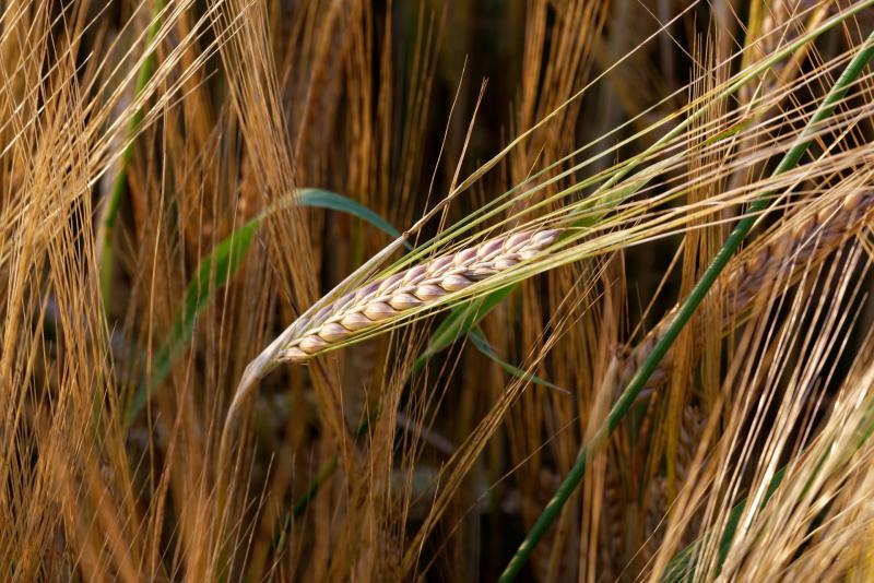 Народные приметы на 29 июля 2025 года: что нельзя делать в этот день