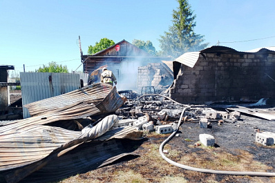 29 мая в Самарской области горели летняя кухня и гараж