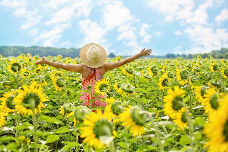 Без осадков и до +29 °C: погода на 28 июля в Самарской области
