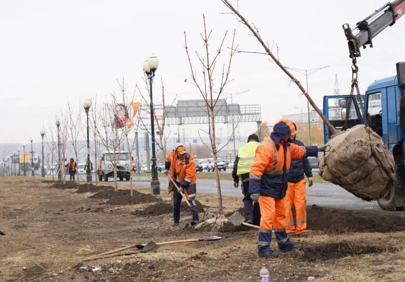 Более 100 каштанов высадили вдоль Московского шоссе и улицы Ново-Садовой в рамках осеннего озеленения