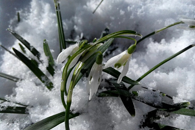 В Самарской области похолодает до -12 °C