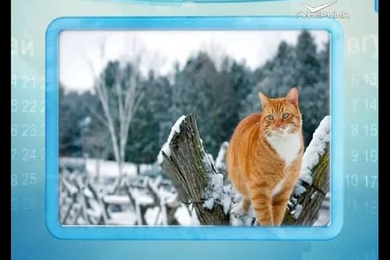 Календарь губернии 29.12.2015