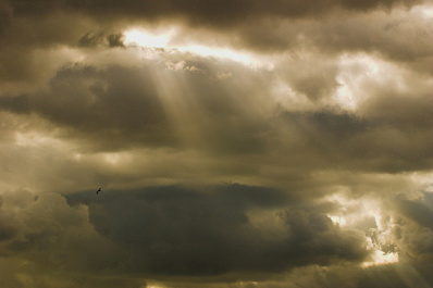 Жёлтый уровень опасности: жителей региона предупреждают о грозе и шквалистом ветре