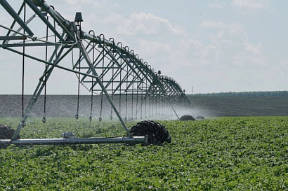 Название статьи