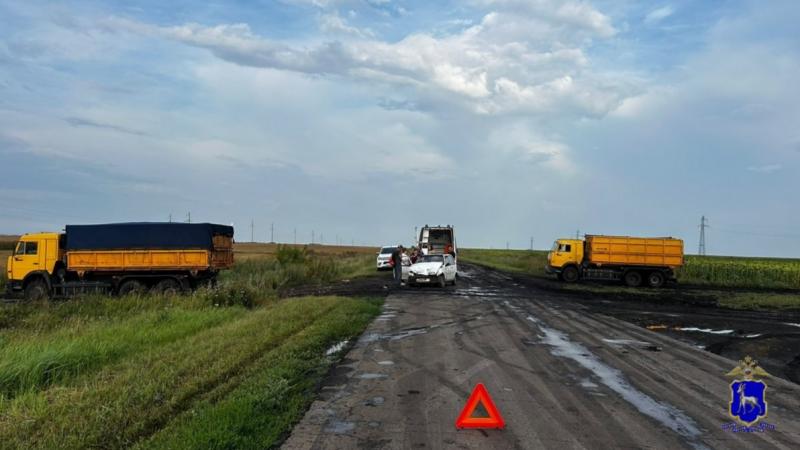 В Самарской области 6-летний мальчик попал под колеса иномарки