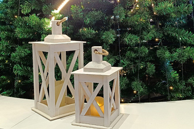 В Самаре начали работать 150 официальных елочных базаров