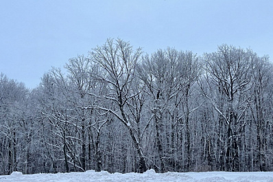 В Самарской области 7 февраля ожидается мороз до -9 градусов