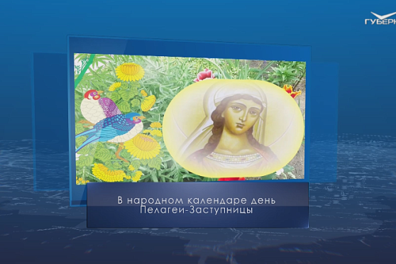 День Пелагеи-Заступницы. Календарь губернии от 17 мая